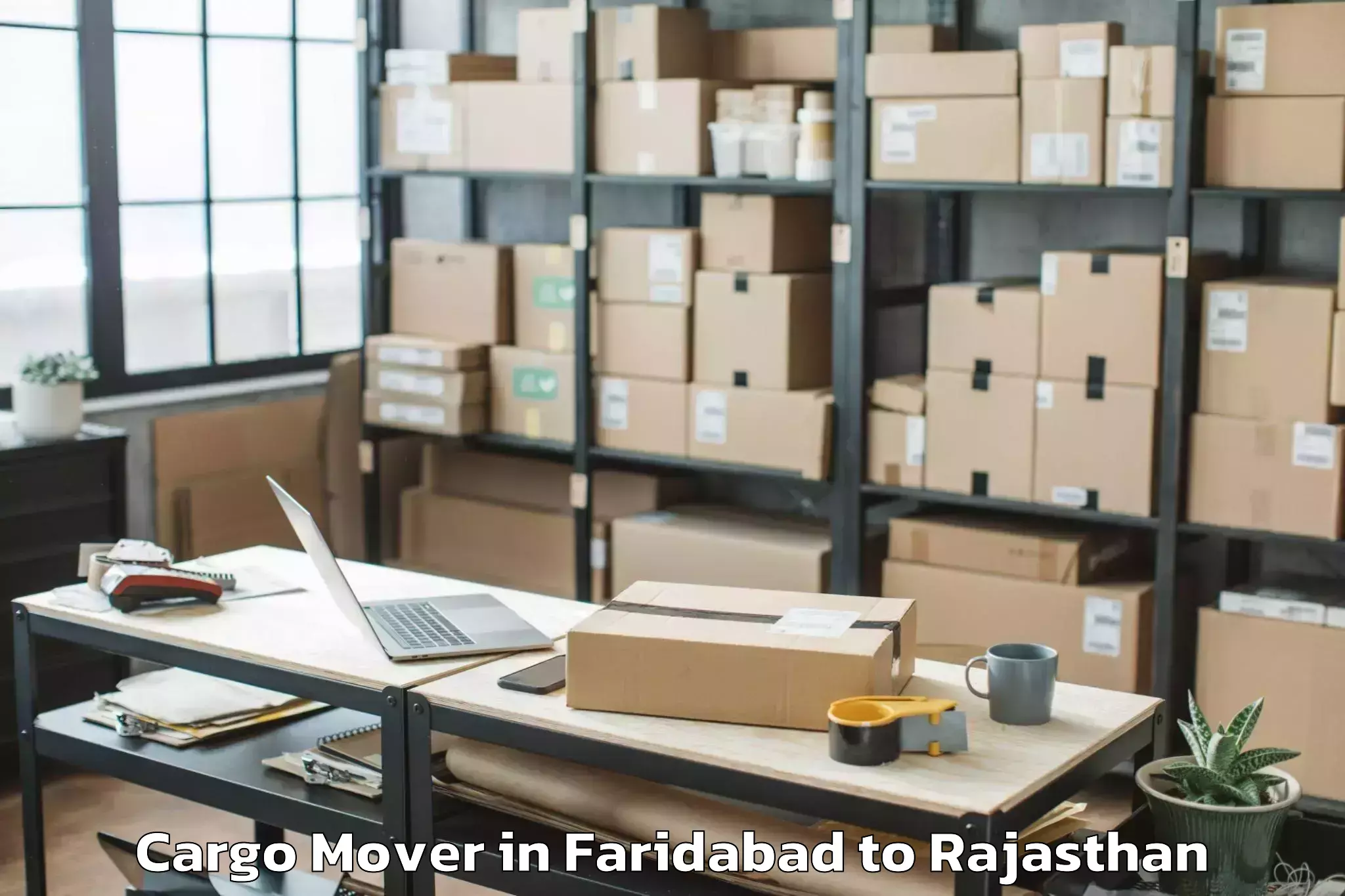 Efficient Faridabad to Opjs University Churu Cargo Mover